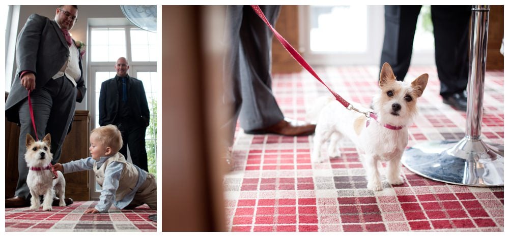 Dog and child at Balmer Lawn Wedding