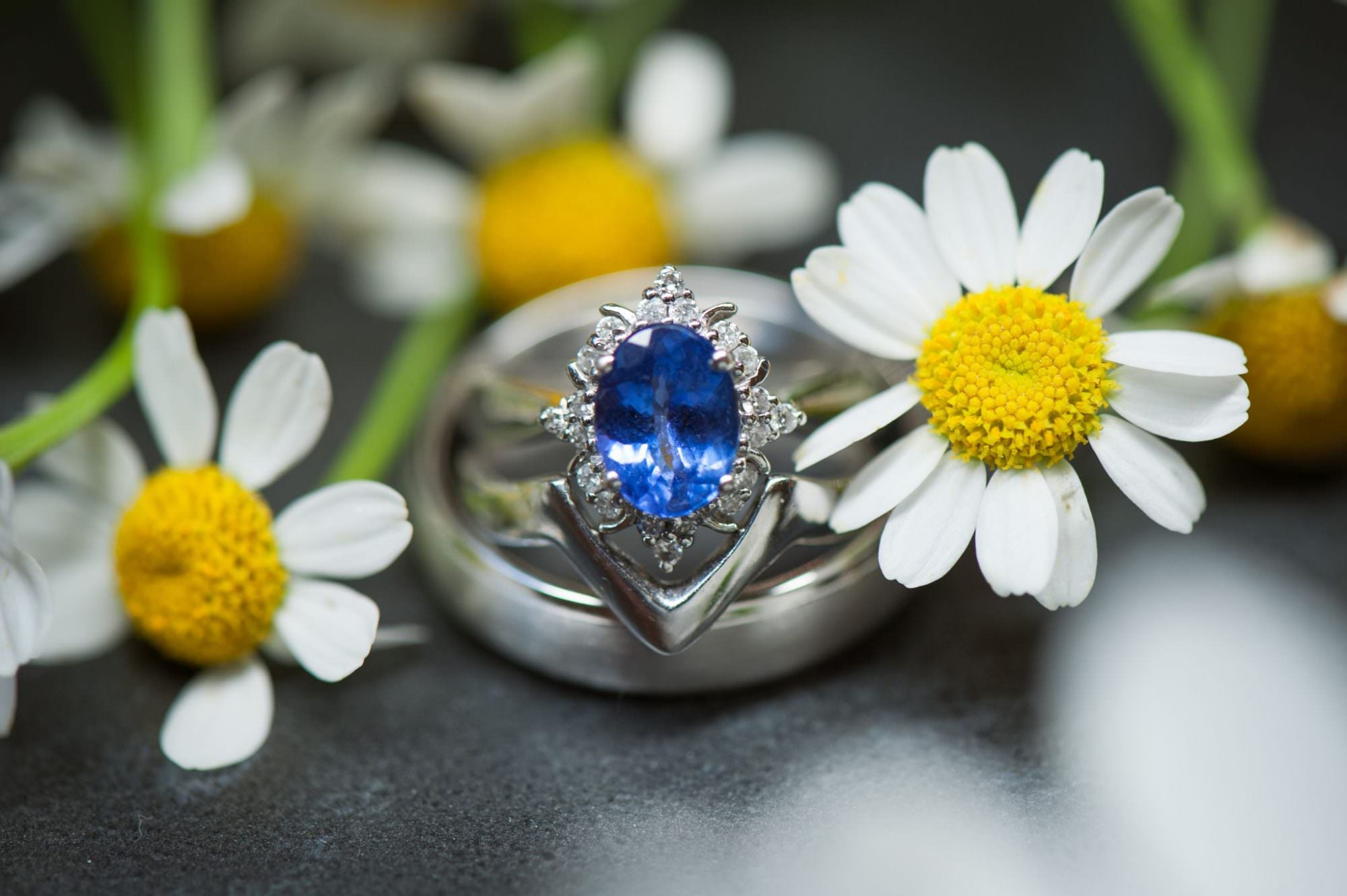 Dorset wedding rings from Canford magna church wedding