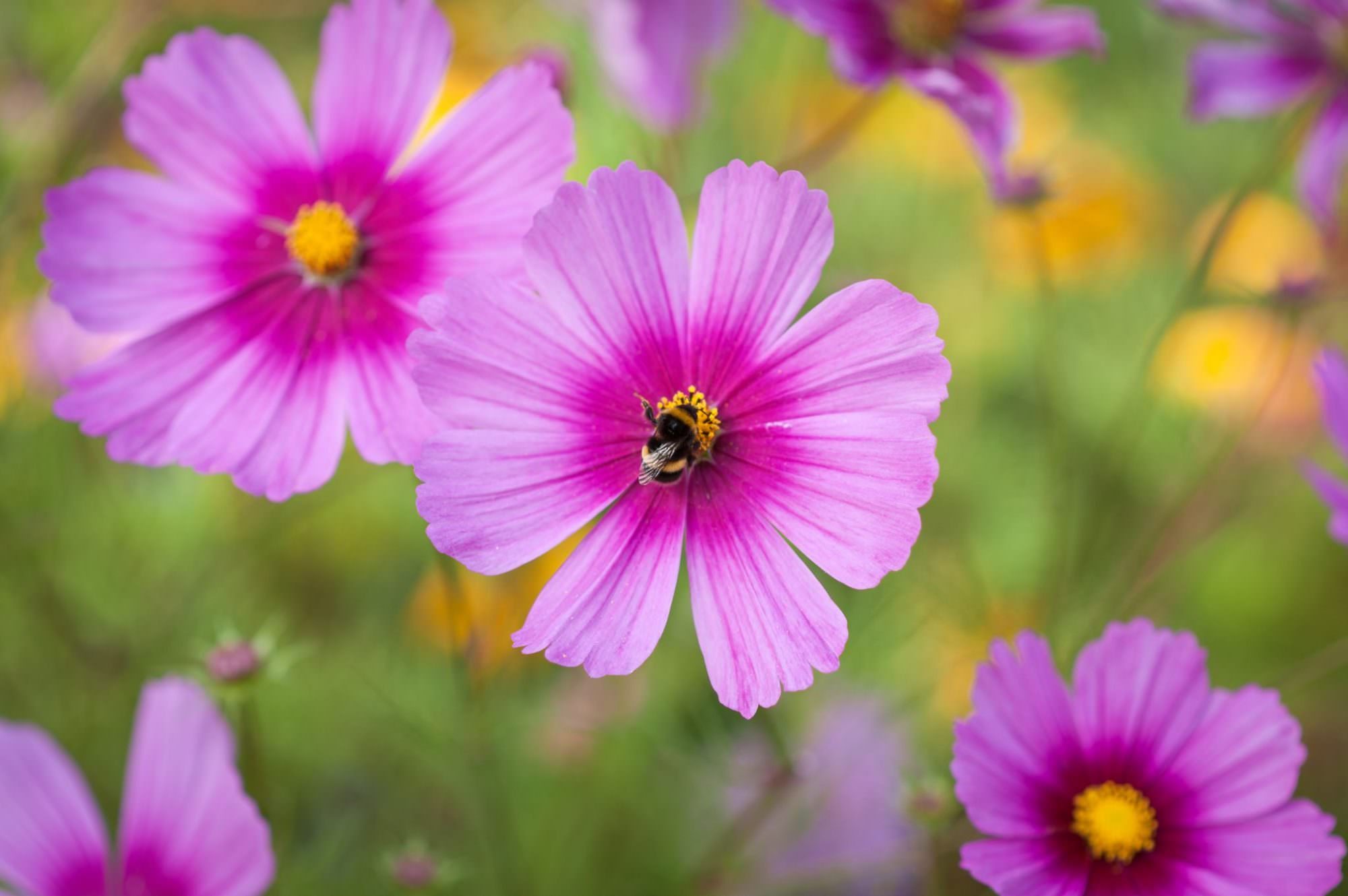 Bright and colourful wedding photography by Rachel Elizabeth Photography
