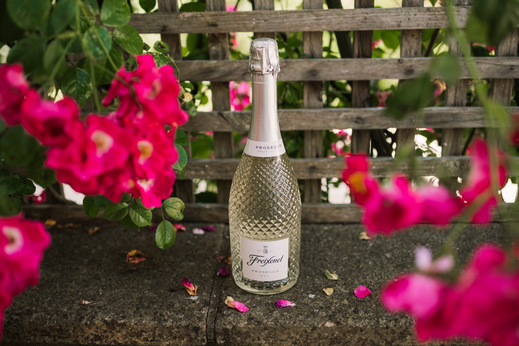 Wedding prosecco at Gordleton Mill
