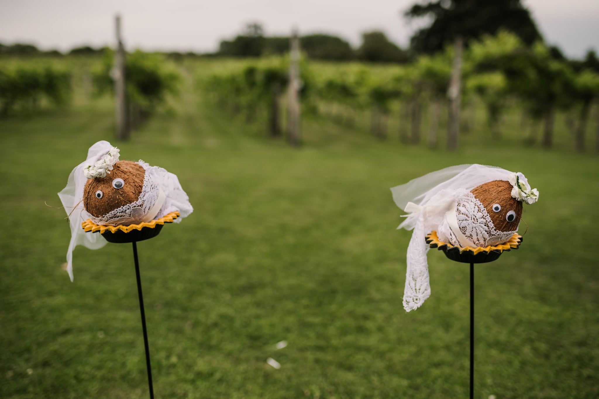 Bride coconut shy at Three Choirs Vineyard wedding