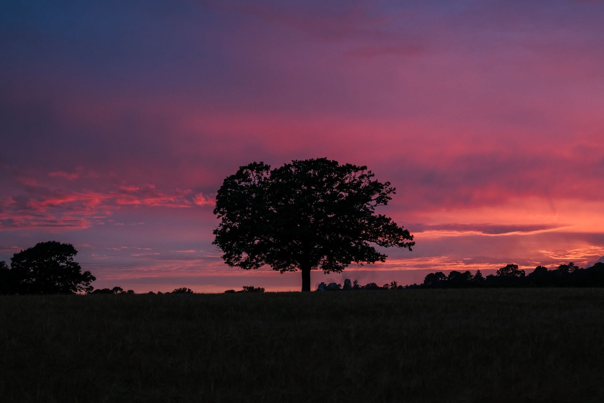 Sunset at Three Choirs Vineyard wedding
