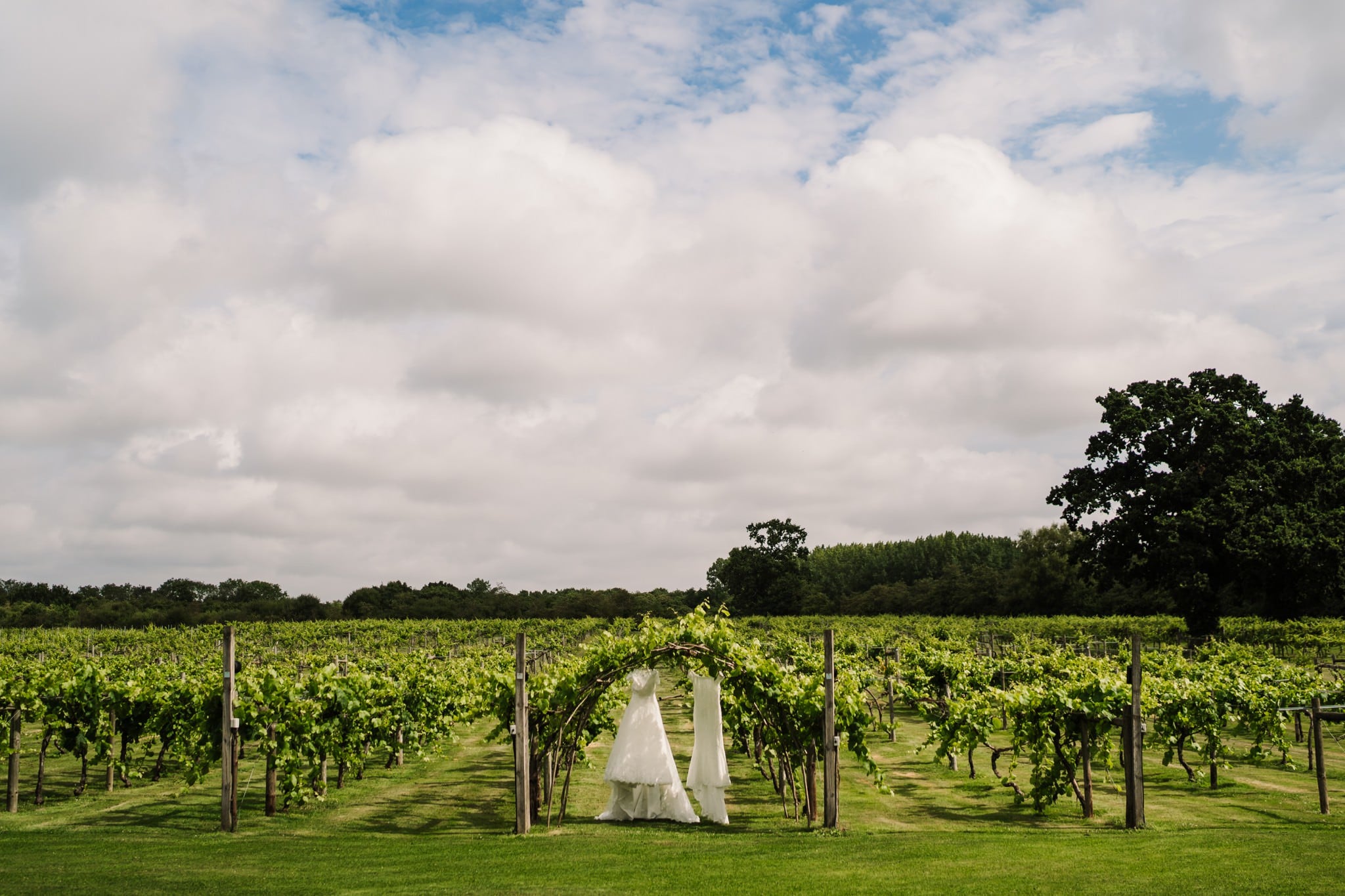Hampshire photographer at Three Choirs Vineyard wedding