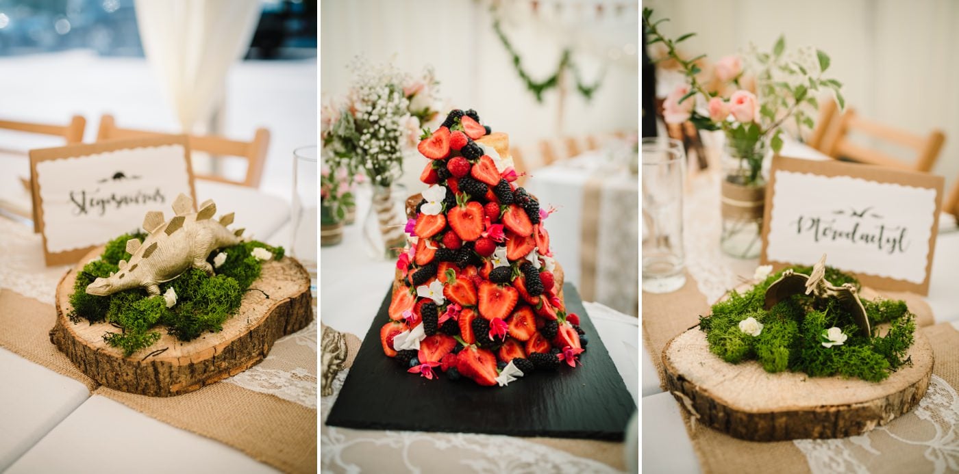Dinosaur themed wedding by Milton Abbas Wedding Photographer